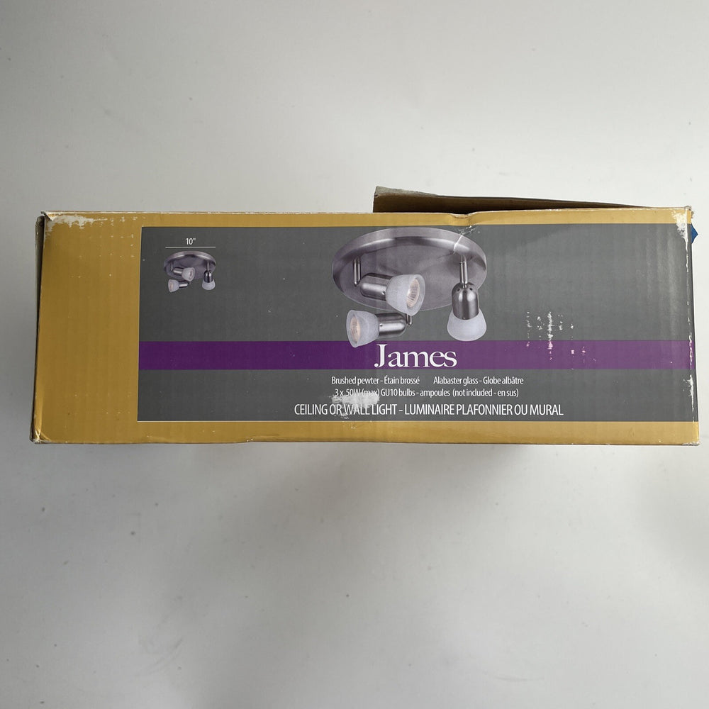 CANARM LTD. ICW356A03BPT10 James 3 Bulb Ceiling/Wall 3 Light, Brushed Pewter