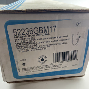 Moen 52236GBM17 Single Function Hand Shower with Side Grab Bar - Chrome