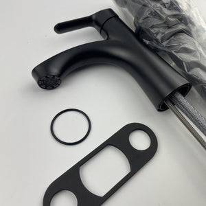 Moen 84516BL Findlay Single Handle Single Hole Bathroom Faucet - Matte Black